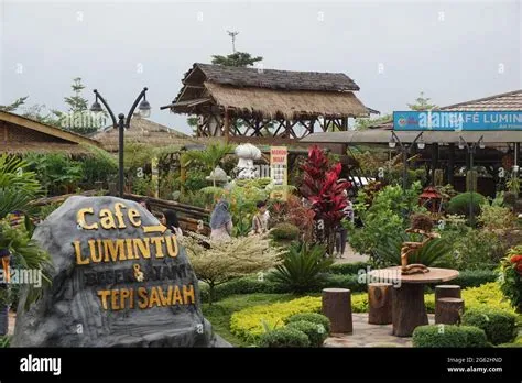 Café sawah malang Banque de photographies et d’images à haute ...